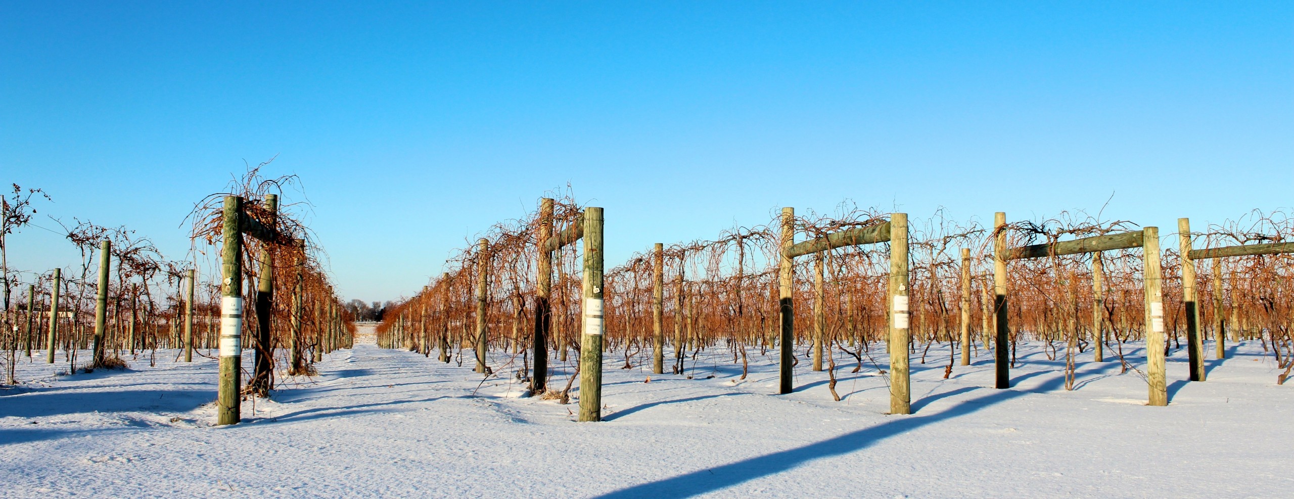 Soldier Creek Winery - Fort Dodge, Iowa